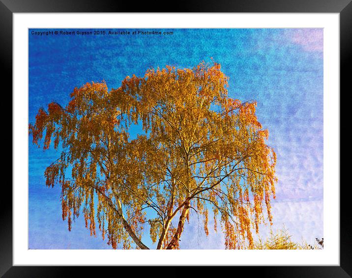  Autumn golden texture. Framed Mounted Print by Robert Gipson