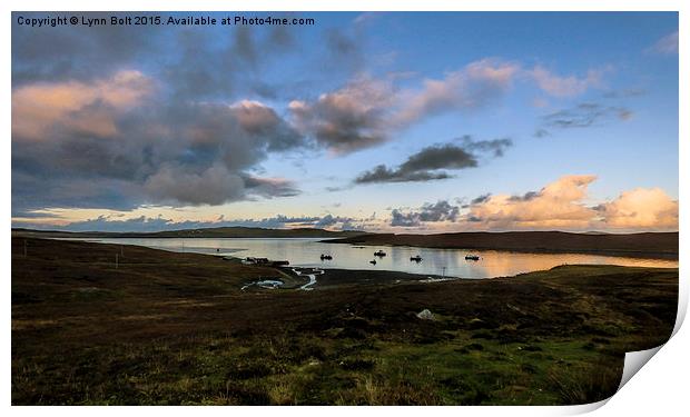  Evening Light in the Shetland Isles Print by Lynn Bolt