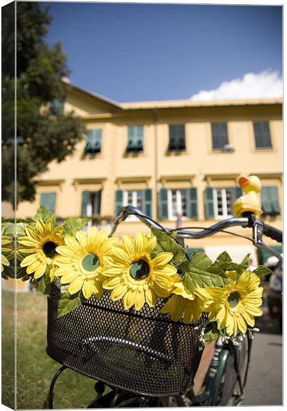 Sunflowers on bike Canvas Print by Ian Middleton