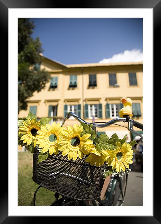 Sunflowers on bike Framed Mounted Print by Ian Middleton