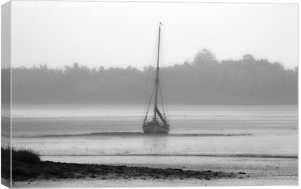  Lonely Sail Boat Canvas Print by Rachel Mower
