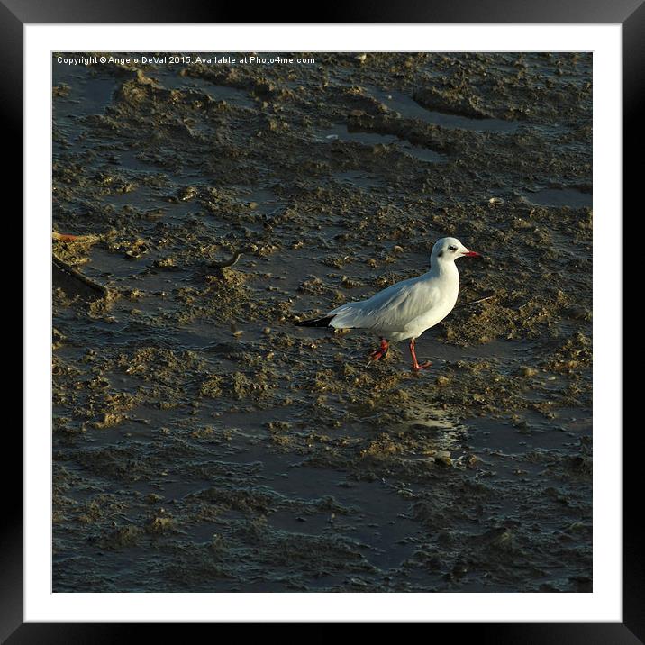 Sunny Seagull Walk  Framed Mounted Print by Angelo DeVal
