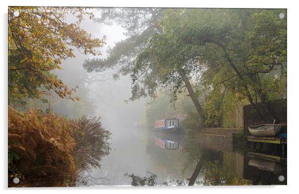  Autumn on the Basingstoke Canal Acrylic by Steve Liptrot