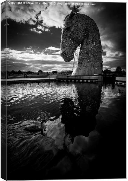 Reflection of a Kelpie Canvas Print by Steve Chandler