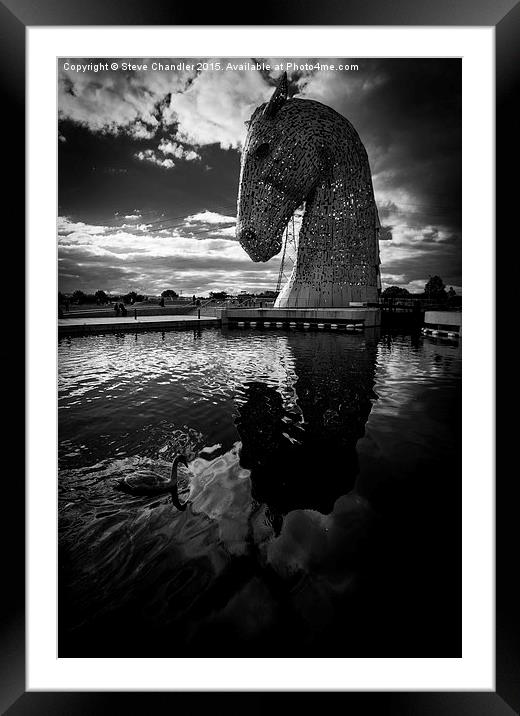 Reflection of a Kelpie Framed Mounted Print by Steve Chandler
