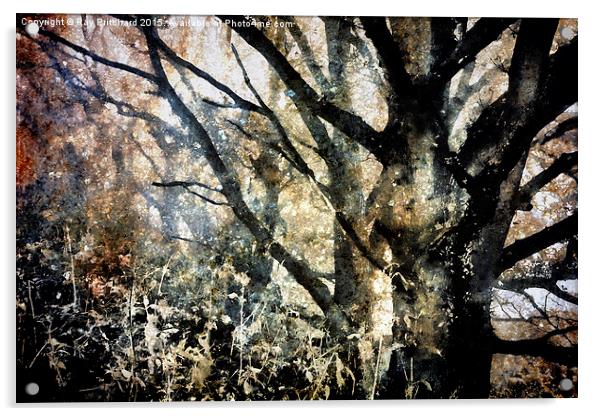  Foggy Trees Acrylic by Ray Pritchard
