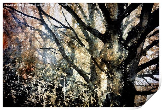 Foggy Trees Print by Ray Pritchard