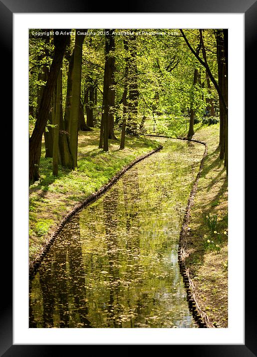 Vibrant green spring pond Framed Mounted Print by Arletta Cwalina