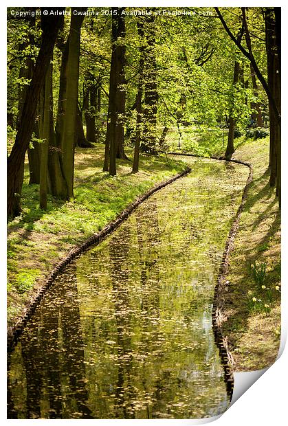Vibrant green spring pond Print by Arletta Cwalina