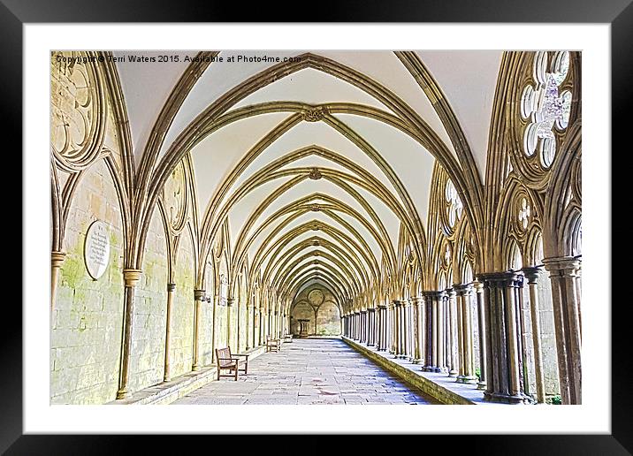 Salisbury Cathedral Cloister HDR Framed Mounted Print by Terri Waters
