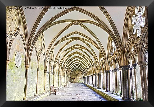 Salisbury Cathedral Cloister HDR Framed Print by Terri Waters