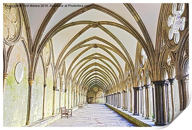 Salisbury Cathedral Cloister HDR Print by Terri Waters