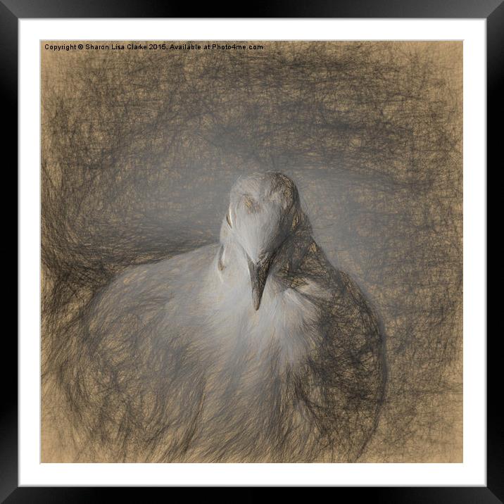  A little birdie told me sketch Framed Mounted Print by Sharon Lisa Clarke