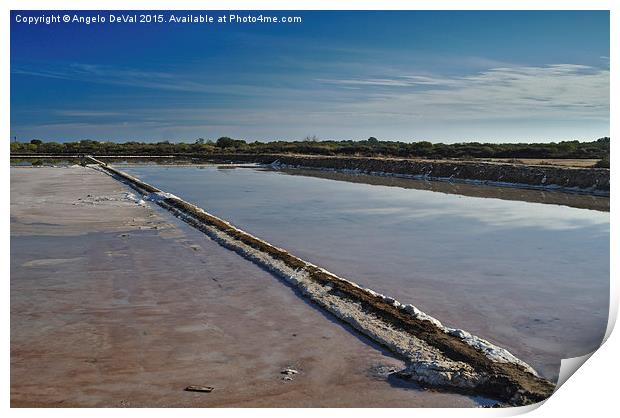 Salt Evaporation Ponds in Algarve Print by Angelo DeVal