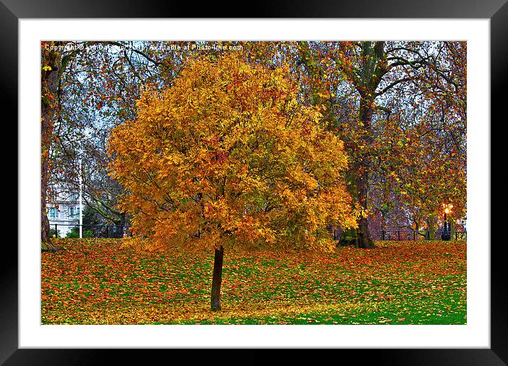  Autumn in the Park Framed Mounted Print by Ian Danbury