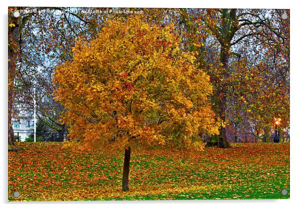  Autumn in the Park Acrylic by Ian Danbury