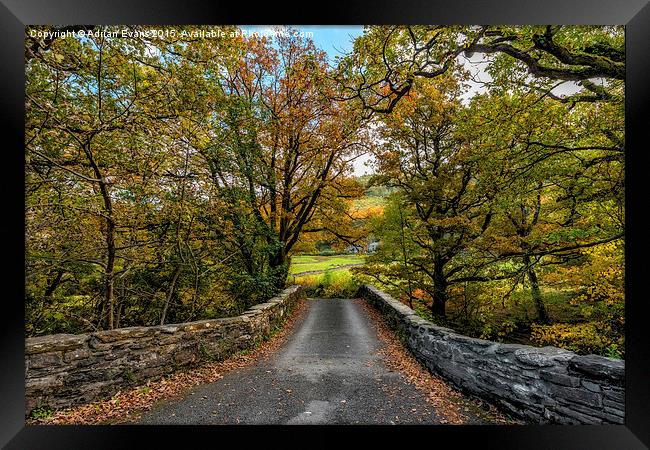 Autumn Ambiance Framed Print by Adrian Evans