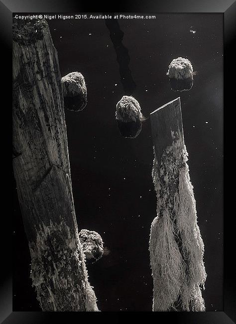  Interstellar pier piles Framed Print by Nigel Higson