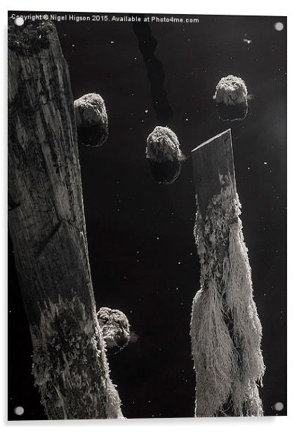  Interstellar pier piles Acrylic by Nigel Higson
