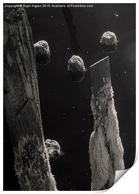 Interstellar pier piles Print by Nigel Higson
