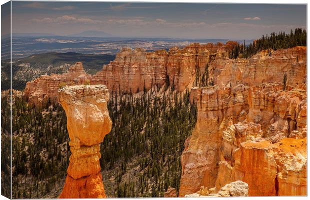 Agua Canyon Canvas Print by Thomas Schaeffer