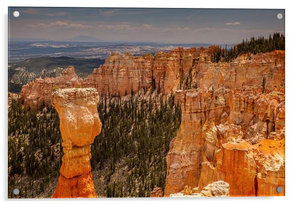 Agua Canyon Acrylic by Thomas Schaeffer