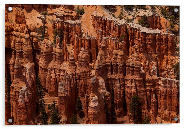  Bryce Point Acrylic by Thomas Schaeffer