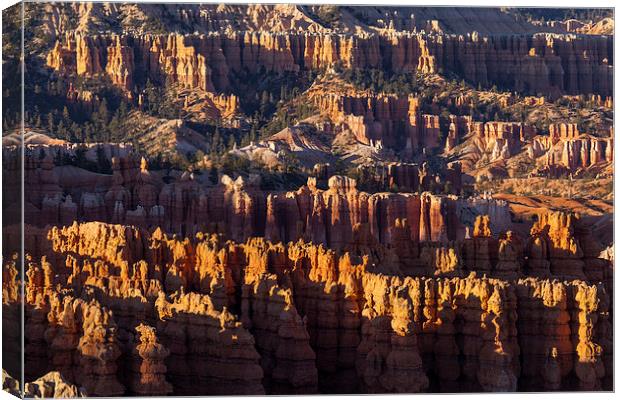 Sunset at Inspiration Point Canvas Print by Thomas Schaeffer