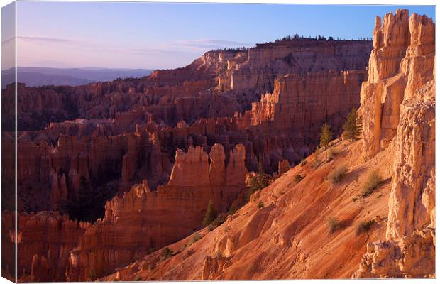 Sunrise at Inspiration Point Canvas Print by Thomas Schaeffer