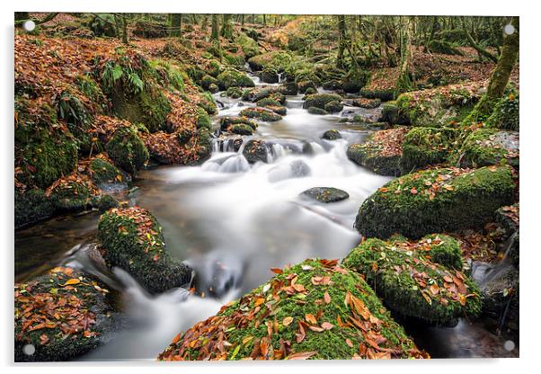  autumn stream Acrylic by Kelvin Rumsby