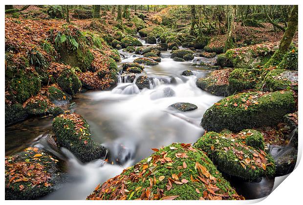  autumn stream Print by Kelvin Rumsby