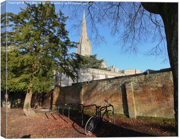  Salisbury Cathedral Wall Canvas Print by Terri Waters