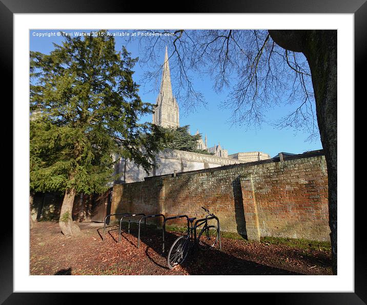  Salisbury Cathedral Wall Framed Mounted Print by Terri Waters