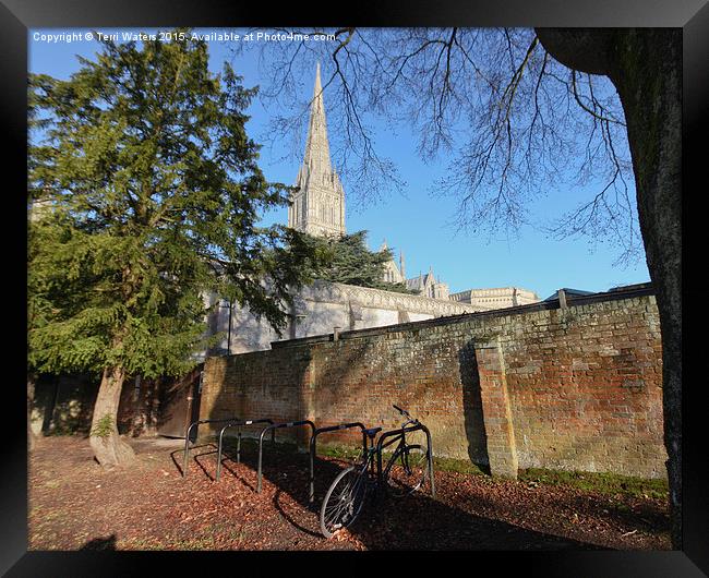  Salisbury Cathedral Wall Framed Print by Terri Waters