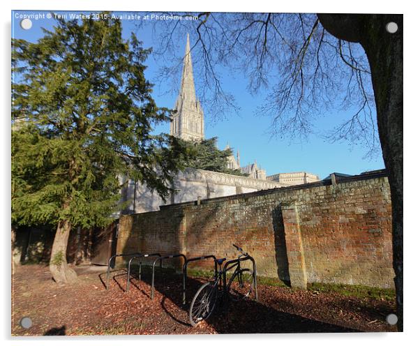  Salisbury Cathedral Wall Acrylic by Terri Waters