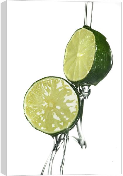 Limes Canvas Print by Malcolm Smith