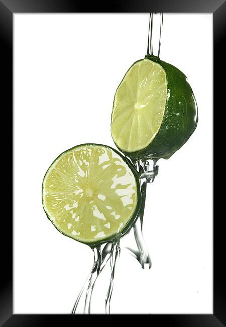 Limes Framed Print by Malcolm Smith