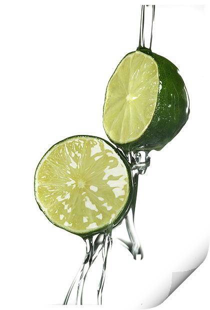 Limes Print by Malcolm Smith