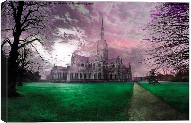 Colourful Salisbury Cathedral  Canvas Print by Terri Waters