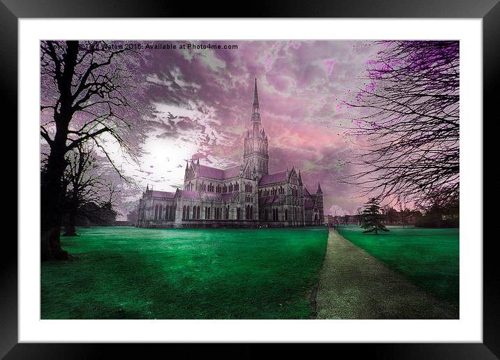 Colourful Salisbury Cathedral  Framed Mounted Print by Terri Waters