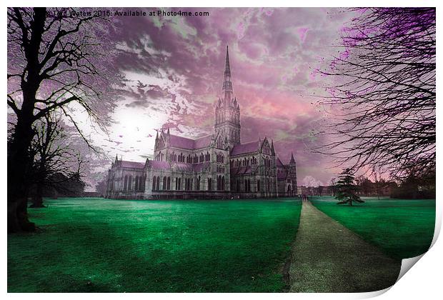 Colourful Salisbury Cathedral  Print by Terri Waters
