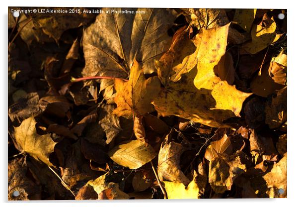  Autumn Acrylic by LIZ Alderdice