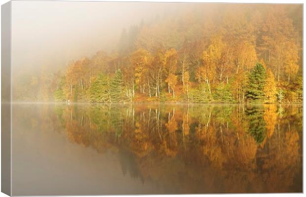  Autumn colours Canvas Print by Stephen Taylor