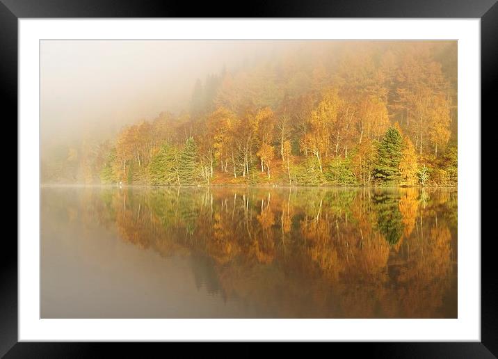  Autumn colours Framed Mounted Print by Stephen Taylor
