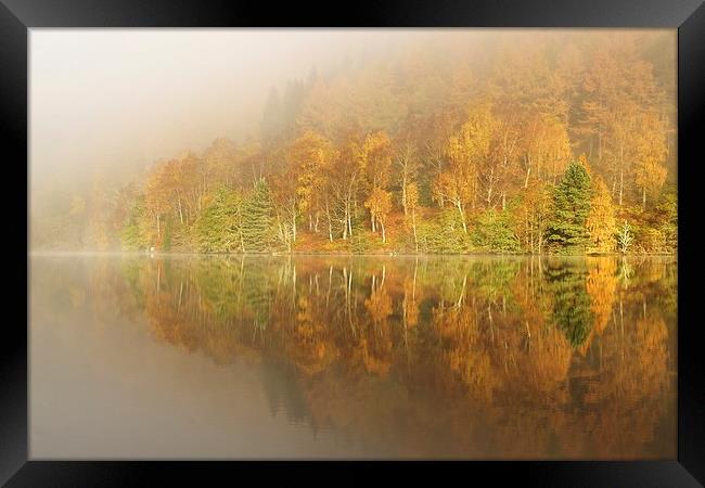  Autumn colours Framed Print by Stephen Taylor