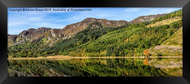 Mountain Reflections Crafnant Lake  Framed Print by Adrian Evans