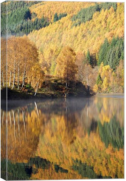  Autumn colours on Loch Tummel Canvas Print by Stephen Taylor