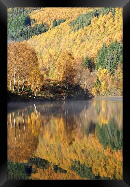  Autumn colours on Loch Tummel Framed Print by Stephen Taylor