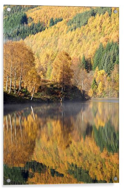  Autumn colours on Loch Tummel Acrylic by Stephen Taylor
