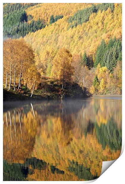  Autumn colours on Loch Tummel Print by Stephen Taylor